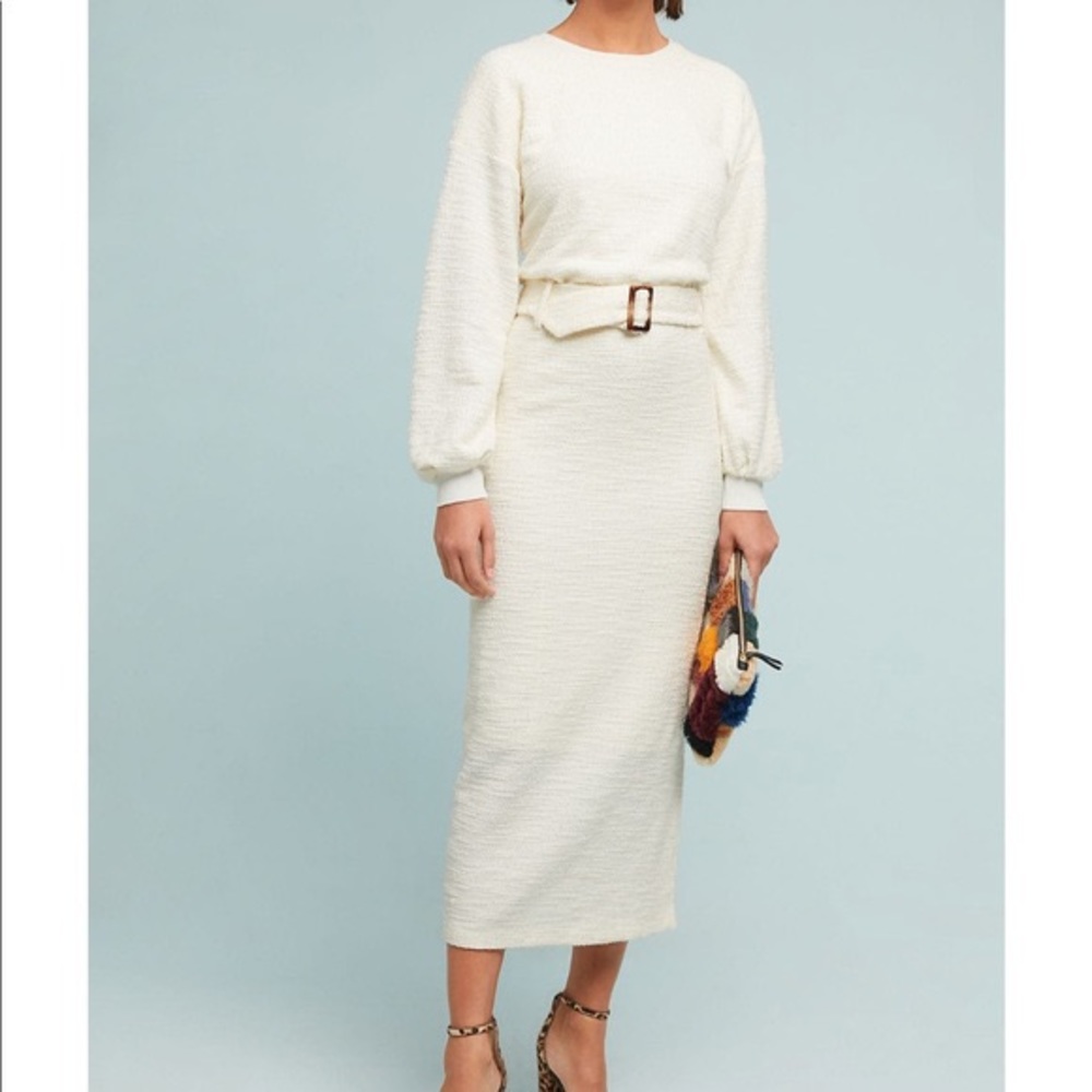 Anthropologie Dolan Jacqueline Belted Dress size S